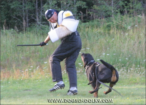 Summer training camp in Finland 2007